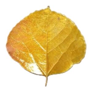 Vintage Gold-Tone Leaf Brooch